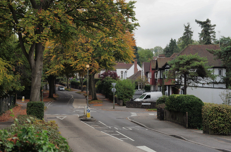 Carshalton Beeches Exploring Safety in South London's Tranquil Enclave