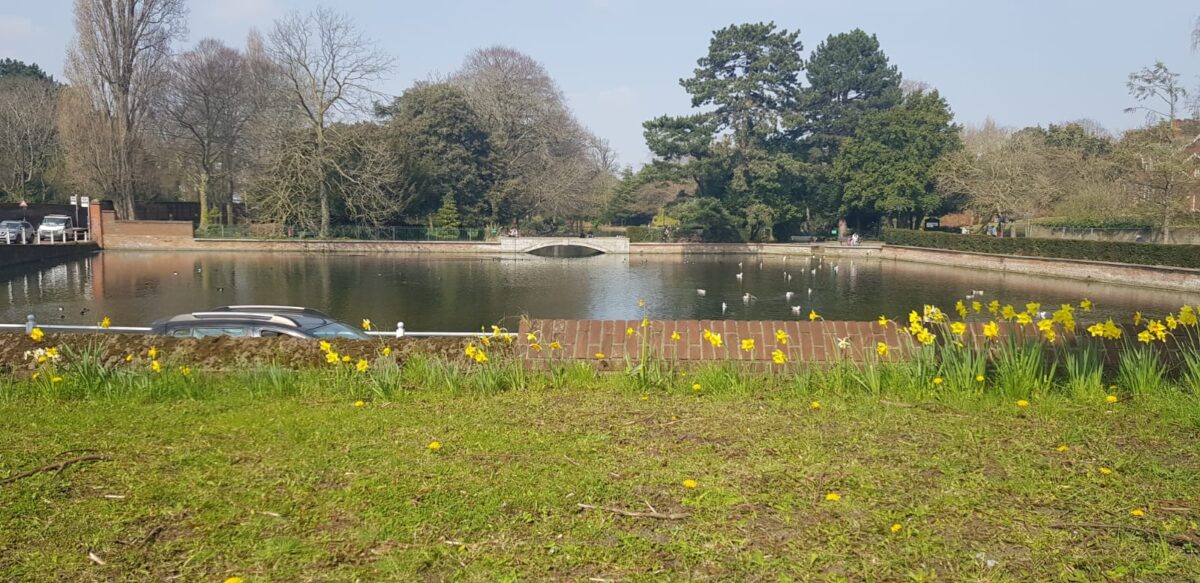 Carshalton on the Hill Unveiling the Safety Tapestry in South London's Picturesque Haven