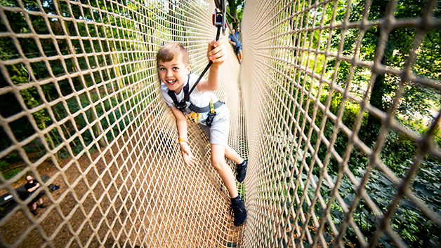 Go Ape in London Unleashing Adventure at the 5 Biggest Stores