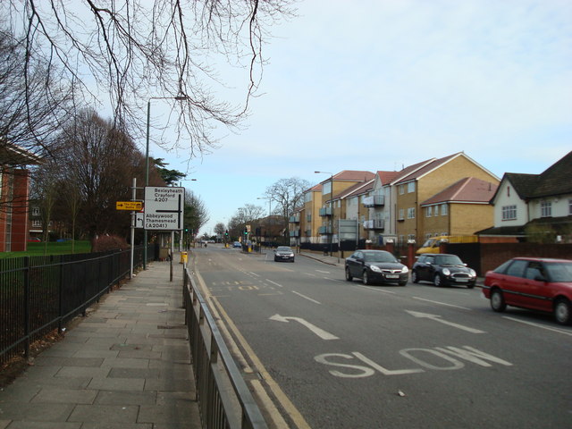 Crook Log Navigating Safety in the Heart of Bexley