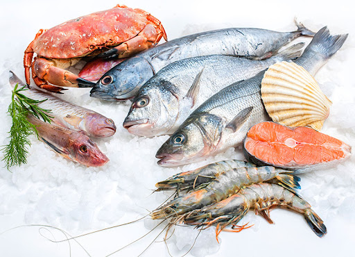 Wholesale Fish Suppliers In London