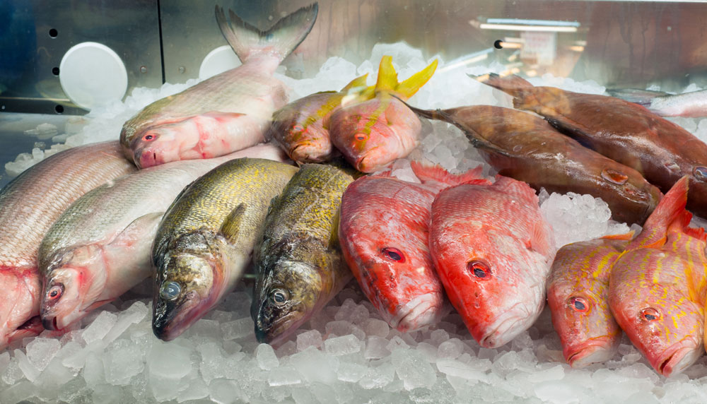 Dive into Freshness Navigating Wholesale Fish Markets in London